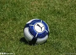 开云体育,投注,资讯,开云体育,开云体育官网,开云体育app,开云体育平台,KAIYUN,SPORTS,kaiyun登录入口