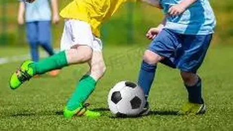 开云体育app投注 产品 111152 92o