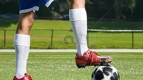 开云体育app投注 产品 131804 90y