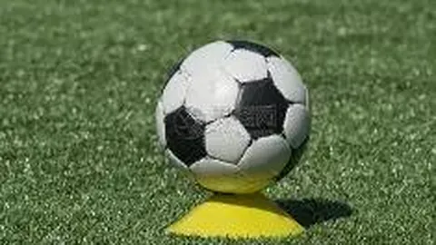 开云体育app投注 产品 114315 xff