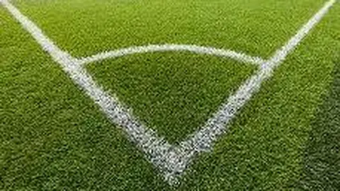 开云体育app投注 资讯 133213 v06