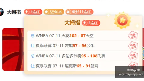 开云体育投注 124102